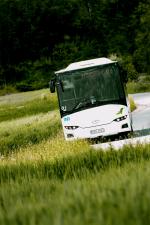 Solaris InterUrbino 12,8 2012 года